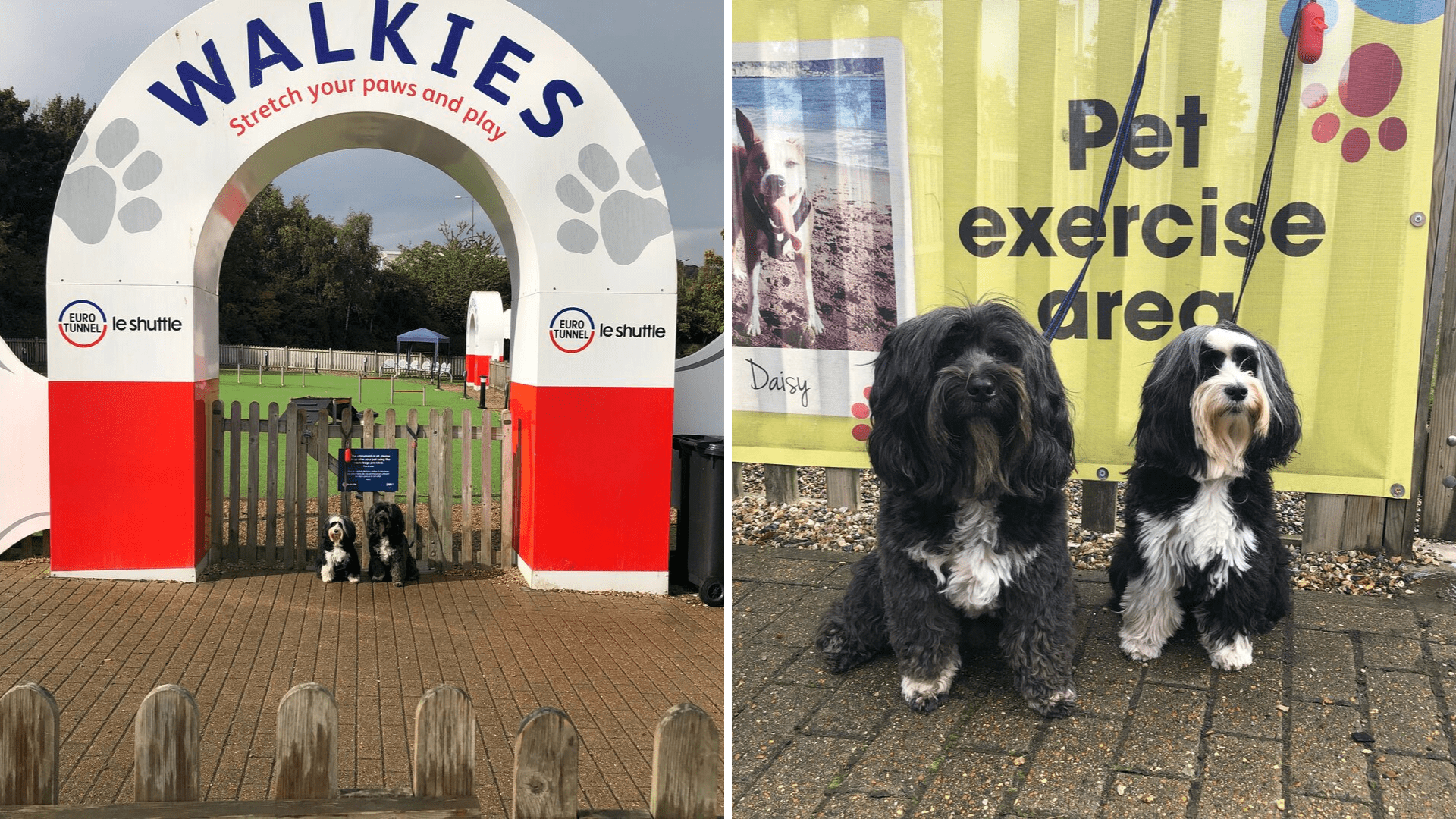 Walkies Play Area at the EuroTunnel for Dogs